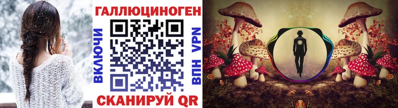 Псилоцибиновые грибы Psilocybine cubensis  Арамиль 